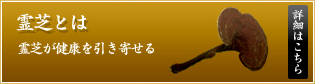 霊芝が健康を引き寄せる
