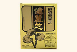 健麗芝 お徳用タイプ